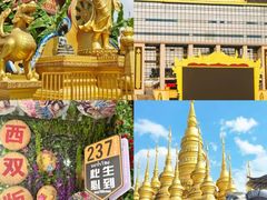 -西双版纳原始森林公园