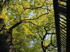 -溪口-滕头旅游景区