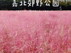 -嘉北郊野公园