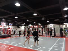 -格斗兄弟搏击健身训练馆(望京店)