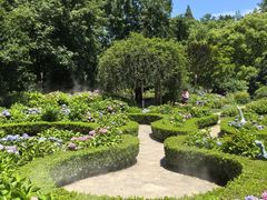 -上海共青森林公园