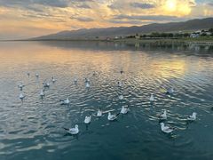 -青海湖国家重点风景名胜区