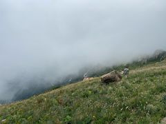 -白草畔自然风景区