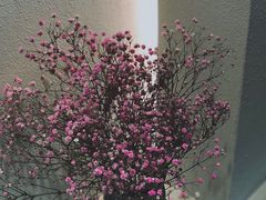 -奈诺甜品·生日蛋糕·下午茶(古城店)