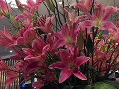 -鹿港小镇(金虹桥国际中心店)