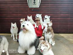-TrueLove @ Neverland (Husky Cafe)