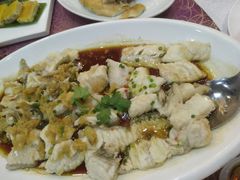 龙趸石斑鱼-欢乐海岸美食联盟