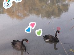 -长兴太湖图影湿地文化园