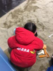 -恐龙探索乐园(磁器口店)