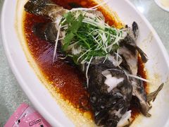 清蒸老虎斑-麒麟山景大酒店岭南汇海鲜酒家(沙井店)