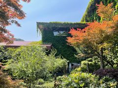 -中国茶叶博物馆(双峰馆区)