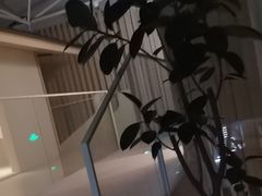 -A+阿加汤宿(大悦城店)