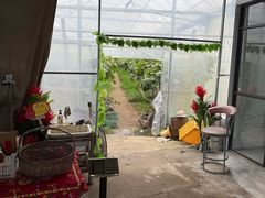 -马陆小张葡萄园农家乐