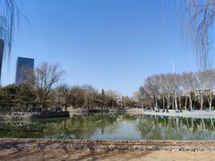 -黄村公园
