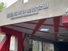 -福田红树林生态公园