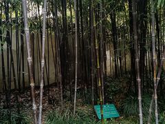 -杭州黄龙洞