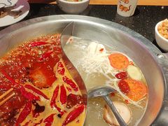 -大龙燚火锅(南山大道店)