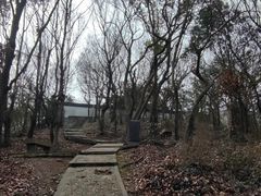 -上海佘山国家森林公园天马山园