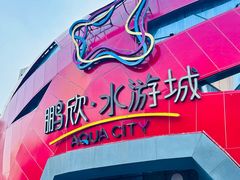 -鹏欣水游城