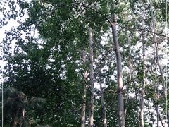 -仁和公园(顺义区)