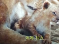 -乐天影城(威高广场店)