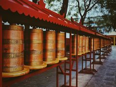 -护国法轮寺