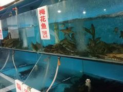 -高坎一品甲鱼庄(两河店)