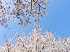 -白塘生态植物园