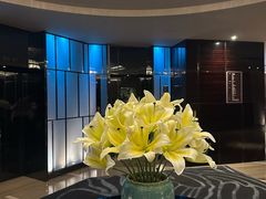 -唐拉雅秀酒店-西锦汇空中BBQ·思创餐厅