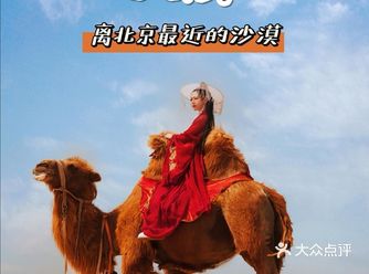 被沙漠种草 天气越来越好，很多小伙伴都不停的在追花花