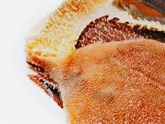 捞派毛肚-海底捞火锅(振华商厦店)
