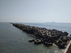 -东疆建设开发纪念公园