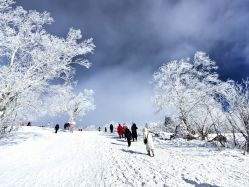 -大秃顶子山(雪谷店)