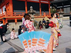 -有栖山 清光院 清水寺