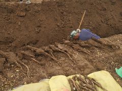 -解家河南菜(商鼎路店)