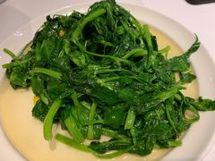 银杏豌豆尖-眉州东坡(民族园店)