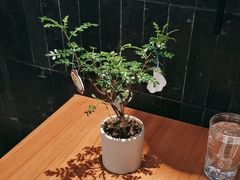-CURRY YA 熟成咖哩專門店(深圳湾万象城店)