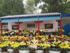 -迎泽公园