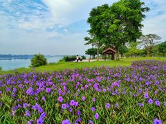 -露天矿生态公园