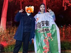 -武汉园博园(武汉自然博物馆)