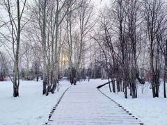 -北极村旅游风景区