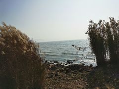 -上海市保健医疗中心