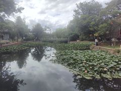 -庾园
