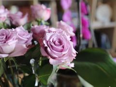 -杭州街角花屋花店(闻堰店)