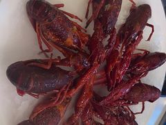 -红盔甲·小龙虾(天钥桥店)