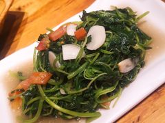 番茄炒小米菜-老滇山寨•云南特色菜•地方菜•民族风情歌舞表演(金碧店)