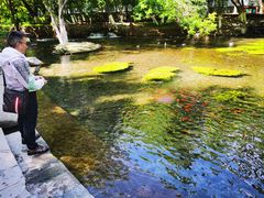 -水磨沟公园
