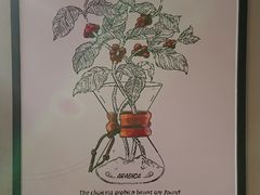 -luckincoffee瑞幸咖啡(新华大厦店)