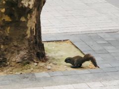-建国328 本帮小馆·面馆
