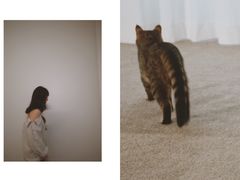 -胶囊画廊